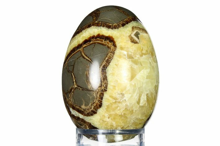 Calcite Crystal Filled Septarian Egg - Utah #322321